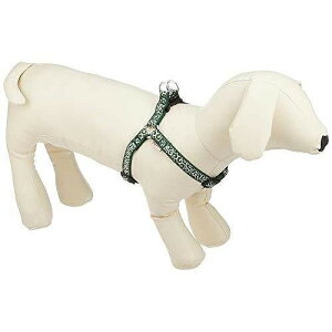 yeBI Petio  n[lX O[ S TCY