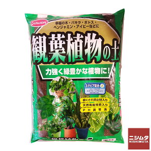 | K[fjO Tz[v@ϗtA̓y@@5L