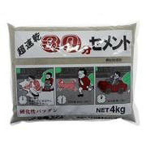 家庭化学 30分セメント 4KG グレ−