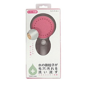 SANEI Oh ~XgXgbvwbh sN PS3062-80XA-LP24