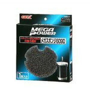 GEX@WFbNX@KX|W@6090p