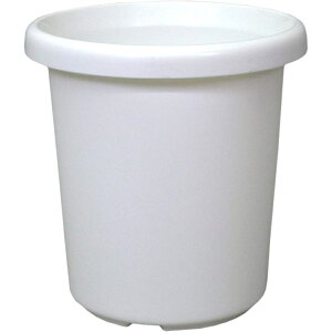 apple(AbvEFA[) F^ 10 zCg