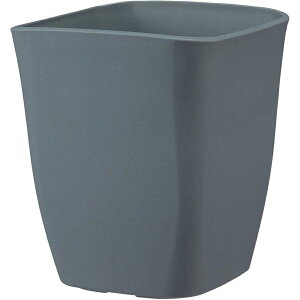 apple(AbvEFA[) Jo[ AgGXNGA 220^ _[NO[