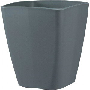 apple(AbvEFA[) Jo[ AgGXNGA 250^ _[NO[