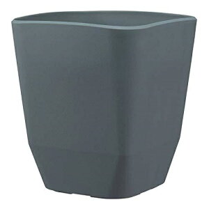 apple(AbvEFA[) Jo[ AgGXNGA 290^ _[NO[