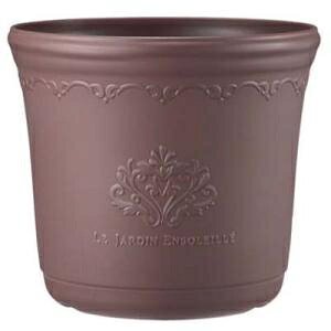 �A�b�v���E�F�A�[�@�Z�V���|�b�g35�^�@�A�b�V���u���E��