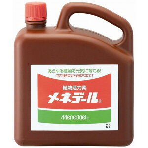 lf[ | _ t t̔엿 엿 lf[ 2L