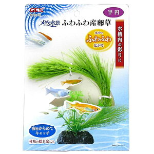 GEX@WFbNX@_Ji@ӂӂY@~