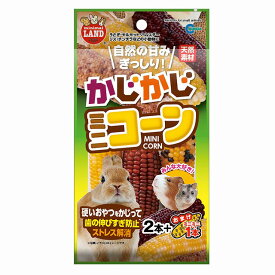 マルカン　かじかじミニコーン 2本＋おまけ1本