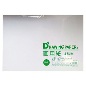 サンフレイムジャパン 画用紙4切 5枚入り