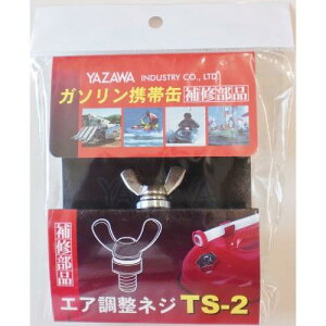 VY(Yazawasangyo) C˂ TS2