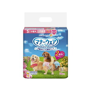 j`[@}i[EFA@̎qp@STCY@^p@sN{E{@36