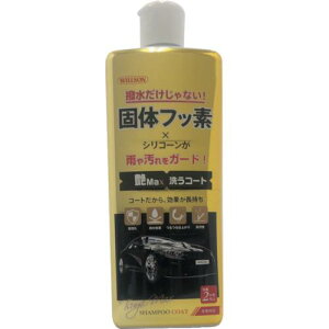 EB\(Willson) Max 􂤃R[g