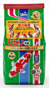 L[@Ђ嗱@4kg@̉a@ь@@a@GT