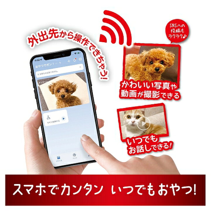 楽天市場】マルカン ペット用オートフィーダー おやつでポン！ カメラ 