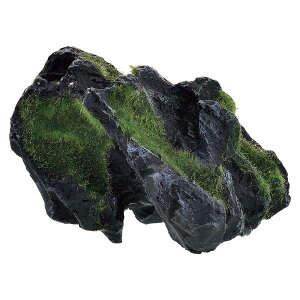 GEX(WFbNX) i XbNHide