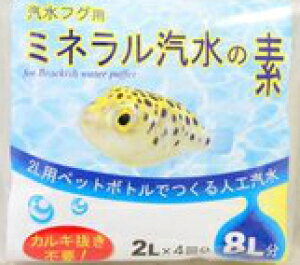 JUN@DtOp@~lD̑f@8Li2L×4܁j