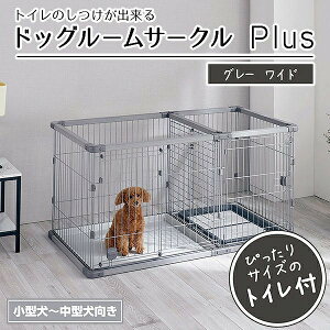 yeBI p gĈo hbO[T[NPlus O[ Ch