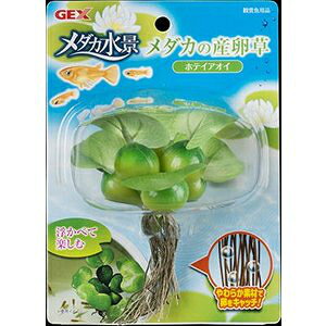 GEX@WFbNX@_J̎Y@zeCAIC