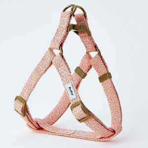 yeBI Petio tbV\tgn[lX@SS@sN