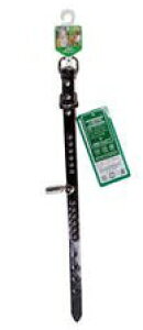 쐻쏊@x[VbNU[iDt15@ց@