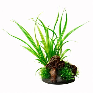 GEX@WFbNX@i@ANALoX@VxX