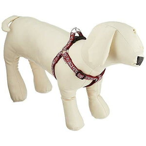 yeBI Petio  n[lX bh S TCY