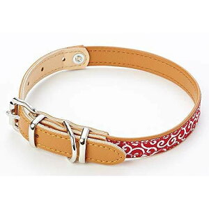 yeBI Petio 듂 bh S TCY