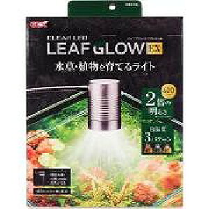 GEX@WFbNX@NALED@[tO[EX