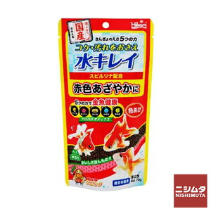 L[@񂬂̂@5̗́@F@70g