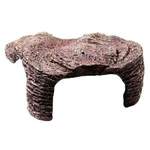 GEX@WFbNX@JC@J̓@M-1