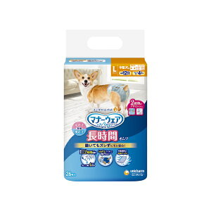 j`[@}i[EFA@ԉKIc@jp@LTCY@^p@26