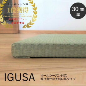 国産 置き畳 畳 マット 琉球畳 い草 88×88cm×厚み30mm(単品 1枚) 半畳 縁なし 調湿 防音 3畳 4畳半 6畳 サイズオーダー【 置き畳 畳み 縁なし畳 畳 ユニット畳 88×88 30mm フローリング 敷くだけ タイルカーペット 】