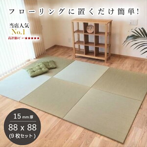 半畳 縁なし 畳 通販 価格比較 価格 Com