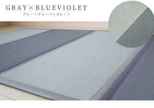 Y  }bg  ZLXC ܂肽 }bgX VO 100x200cm ݖ13mm O[ / AC{[ / J 2Fyu jbg t[O ~ ܂ }bg z 