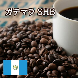 ガテマラ SHB 焙煎 コーヒー豆 100g ニシナ屋 珈琲 焙煎 高級 コーヒー豆 プレゼント コーヒー 豆 グアテマラ 父の日 贈答 お中元 お盆 誕生日 祝 敬老 お礼 ご祝儀 チョコやケーキに合う