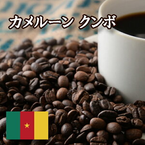 【特価】カメルーン クンボ 焙煎 コーヒー豆 1kg ニシナ屋珈琲 焙煎 コーヒー コーヒー豆 お得 高級 プレゼント コーヒー 業務用