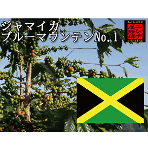u[}Ee No.1 100% i200gj jVi    R[q[ v[g R[q[  ̓   ~ a j hV  jV `RP[Lɍ
