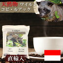 【天然物・直輸入】ワイルド コピルアク（コピルアック） 100g ニシナ屋珈琲 ジャコウネコ 焙煎 コーヒー スペシャルティ 高級 コーヒー豆 プレゼント コーヒー 豆 父の日 贈答 お中元 お盆 誕生日 祝 敬老 お礼 ご祝儀 チョコやケーキに合う