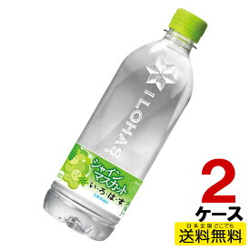 い・ろ・は・す シャインマスカット いろはす 540ml ペットボトル 24本入り×2ケース 合計48本 送料無料 コカ・コーラ社直送 コカコーラ cc4902102148788-2ca