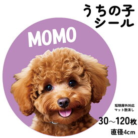 【2/10最大P9倍】オリジナルシール ステッカー オーダーメイドカスタムシール 30枚 60枚 90枚 120枚 名入れ うちの子 名刺 アイコン オリジナル 写真 オーダーメイド 直径4cm 短期屋外対応 ペット 犬 猫 子ども 子供 赤ちゃん ペットプリントラボ ppl-sticker-40