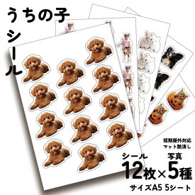 【2/10最大P9倍】オリジナルシール ステッカー 60枚 うちの子 写真 オーダーメイド 短期屋外対応 ペット 犬 猫 子ども 赤ちゃん オフ会 イベント ペットプリントラボ ppl-sticker-a5-5