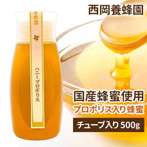 nj[v|X@v|X@ɂ@I {I@`[u