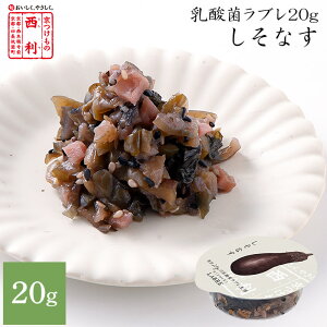 y̐ zq_ۃu20grȂs  Е Е Ђ  ֎q Ȃ u_ _ ٓ  g؂ 