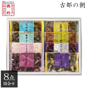 Ε 2025 y̐ zÓs̒ 8_l NC-20s  Ε Е Mtg Ε v[g Ε v`Mtg 蕨 A SݓX lC oY j j Ԃ yY 