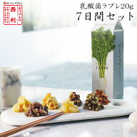 【京つけもの西利 公式】乳酸菌ラブレ20g×7日間セット京都 西利 漬物 京漬物 漬け物 お漬物 発酵漬物 発…