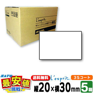 Tg[ Xv V[^py5z20×303SR[g{ty5̔zS ( SATOi ) L'esprit v^ SCeaTa CT4-LX