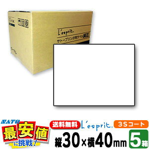 Tg[ Xvx 5 50 30×40 3SR[g{t L'esprit v^ 160990201 M]ʃx xv^[ V[gv^[ SCeaTa CT4-LX