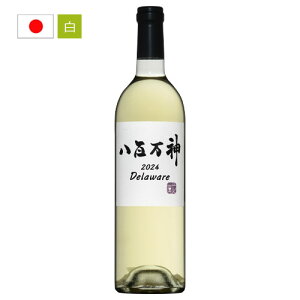 S_@fEFA [2024] {  Mtg NX}X v[g 750ML