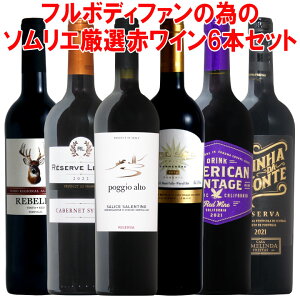 \GIIt{fB[t@ׂ̈̐ԃC6{ZbgIC Zbg CZbg ԃCZbg Mtg NX}X ԃC  750ML 